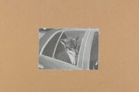 From Some Collages by Jim Jarmusch book